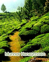 munnar honeymoon places